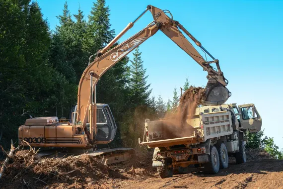 카지노 봉커스 벳 지원